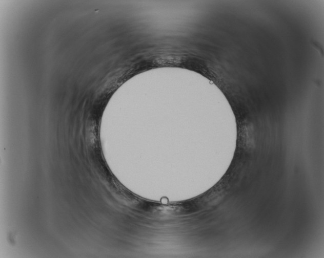 X0000103960323200809191340