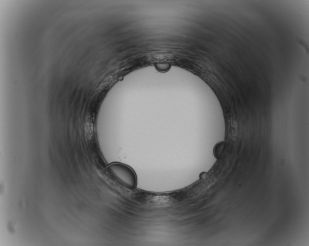 X0000103960324200809191340