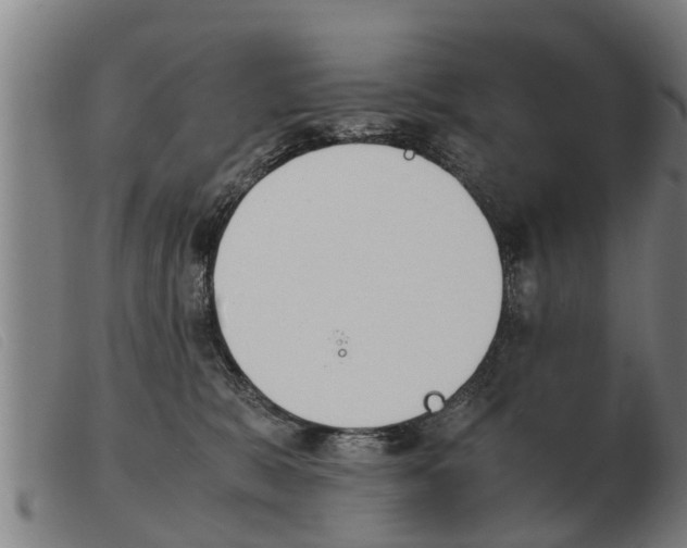 X0000103960327200809191340