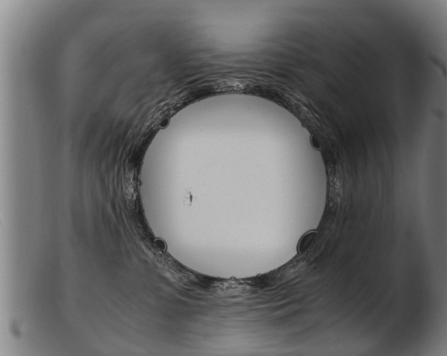 X0000103960331200809191340