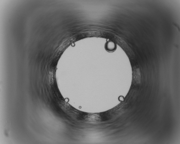 X0000103960333200809191340