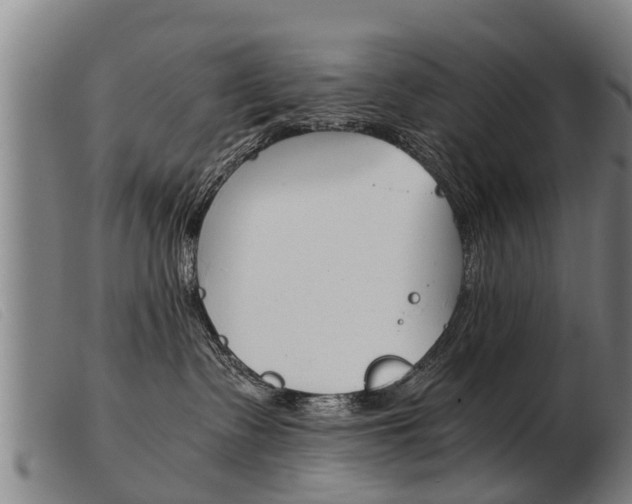 X0000103960335200809191340