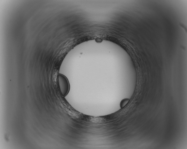 X0000103960336200809191340