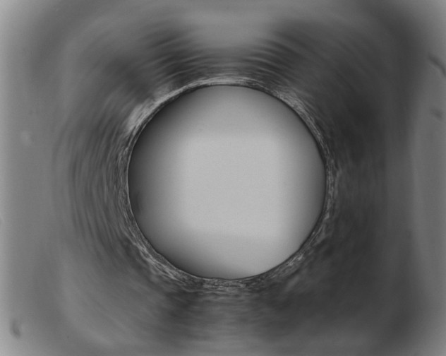 X0000103960337200809191339