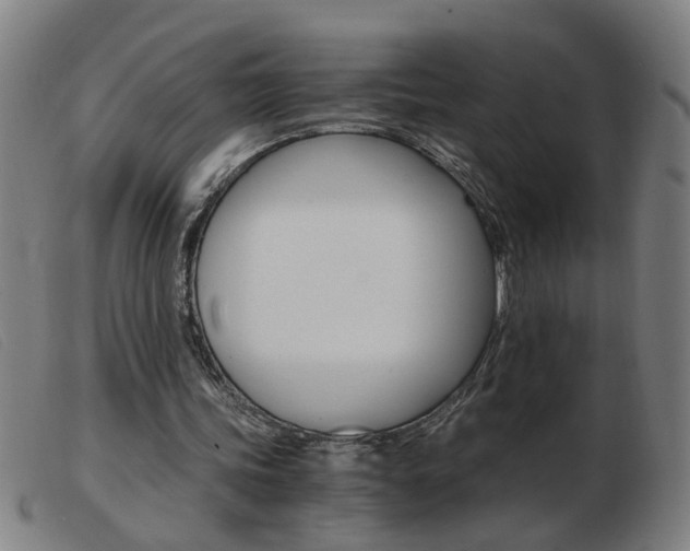X0000103960339200809191339