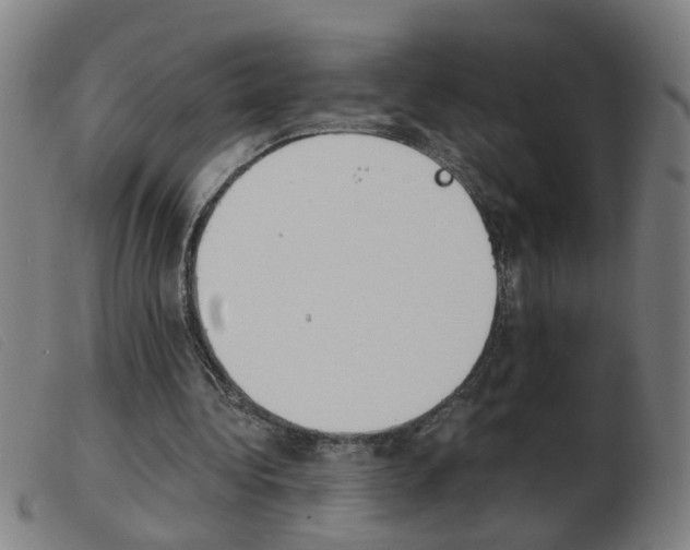 X0000103960340200809191339