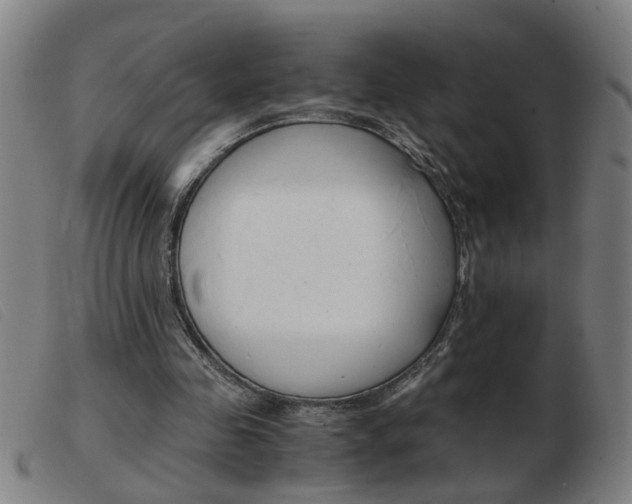 X0000103960341200809191339