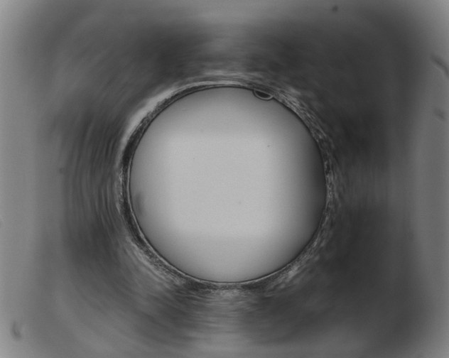 X0000103960342200809191339