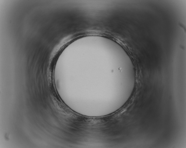 X0000103960343200809191339