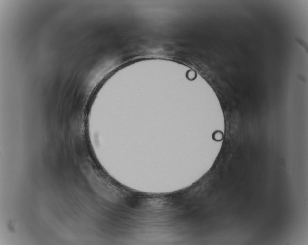 X0000103960344200809191339