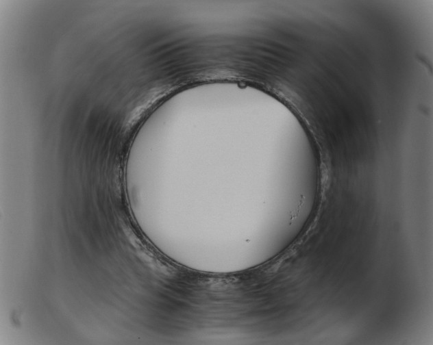 X0000103960345200809191339