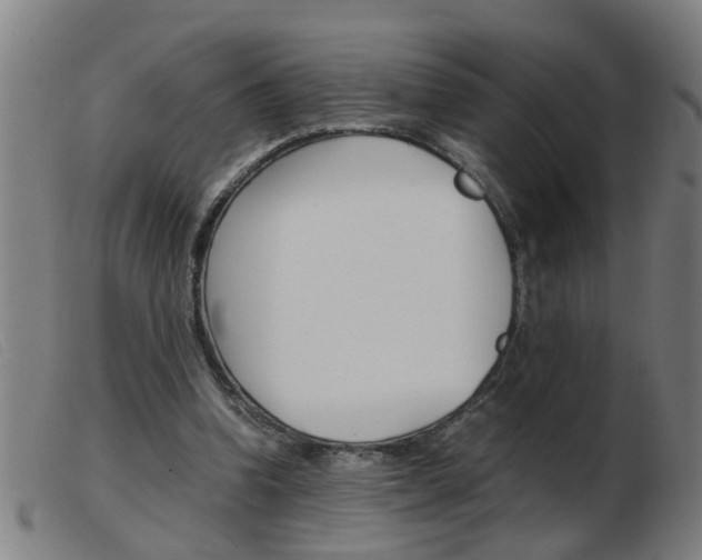 X0000103960346200809191339