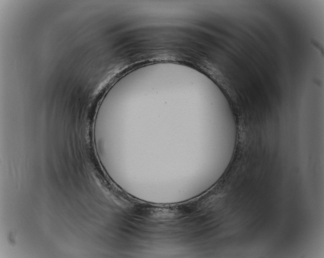 X0000103960347200809191339