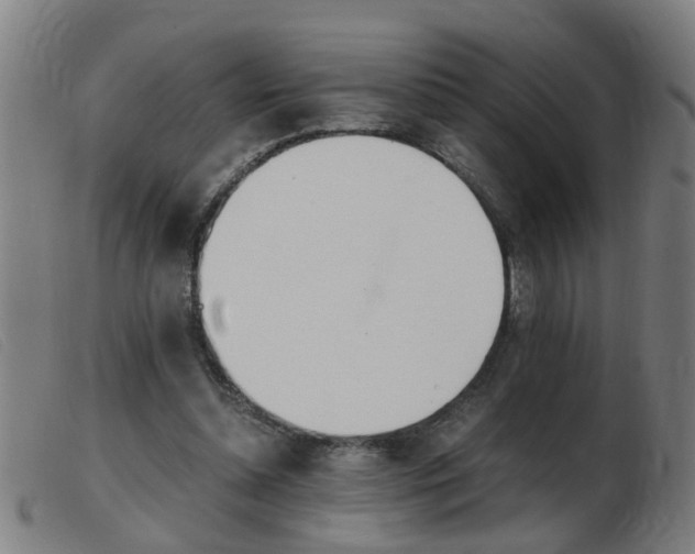 X0000103960348200809191339