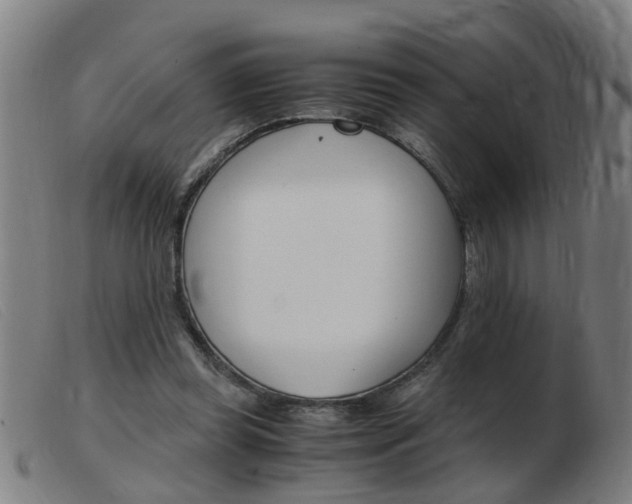 X0000103960349200809191339