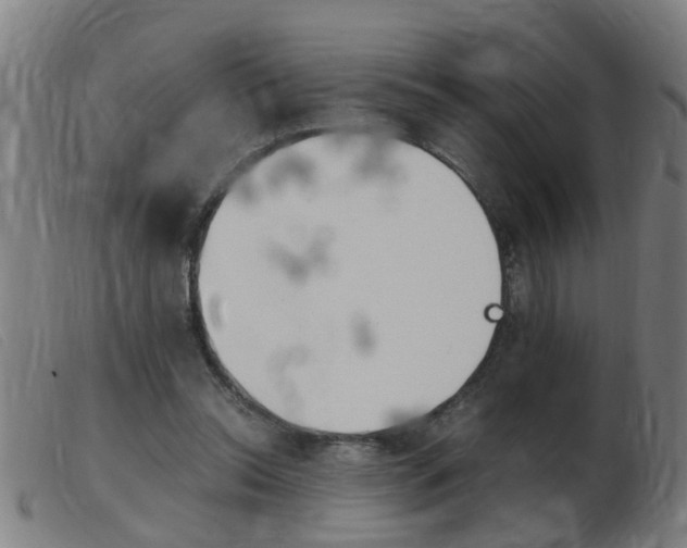 X0000103960350200809191339