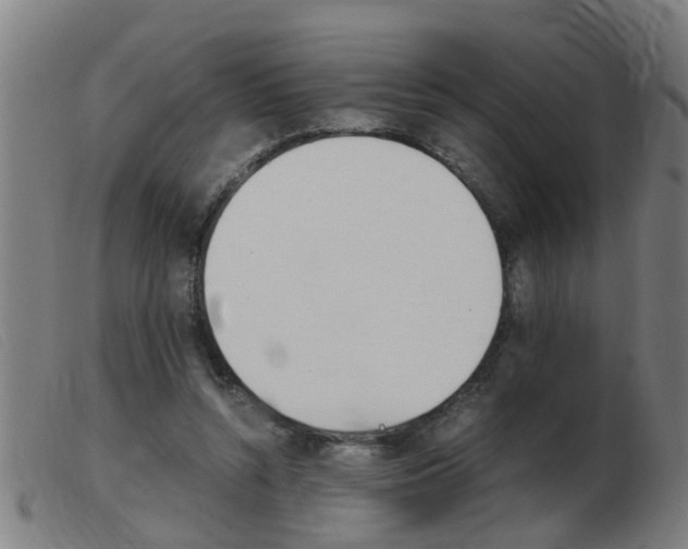 X0000103960352200809191339