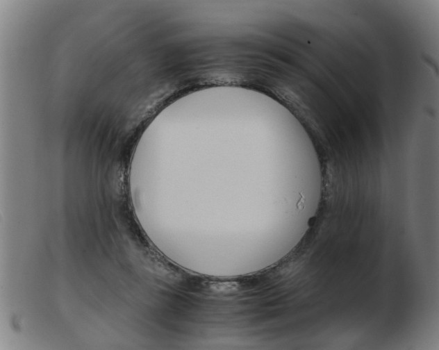 X0000103960355200809191339