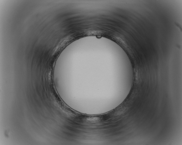 X0000103960357200809191339