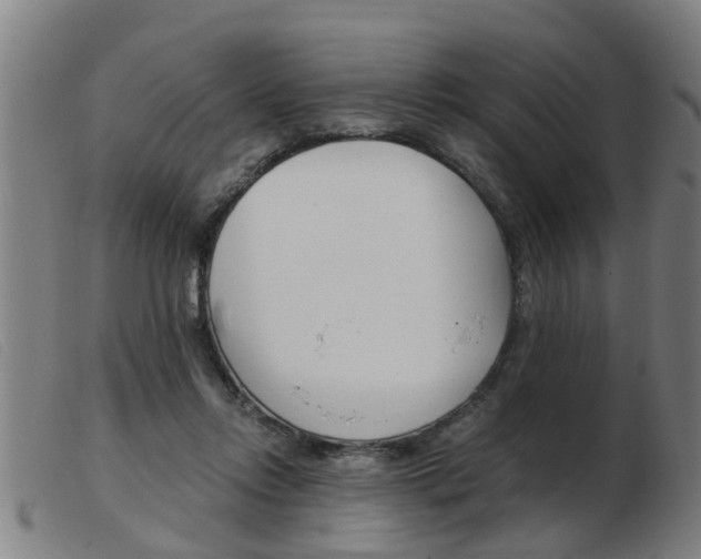X0000103960358200809191339