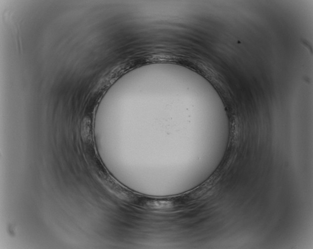 X0000103960361200809191340
