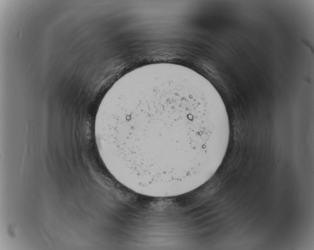 X0000103960362200809191340