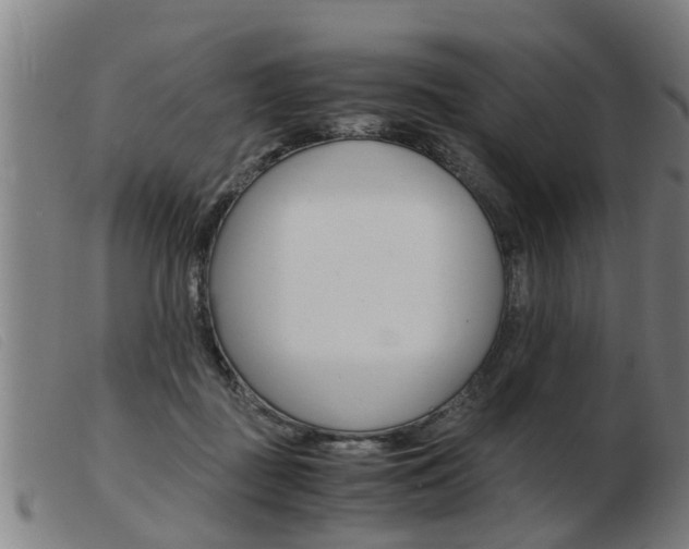X0000103960363200809191340