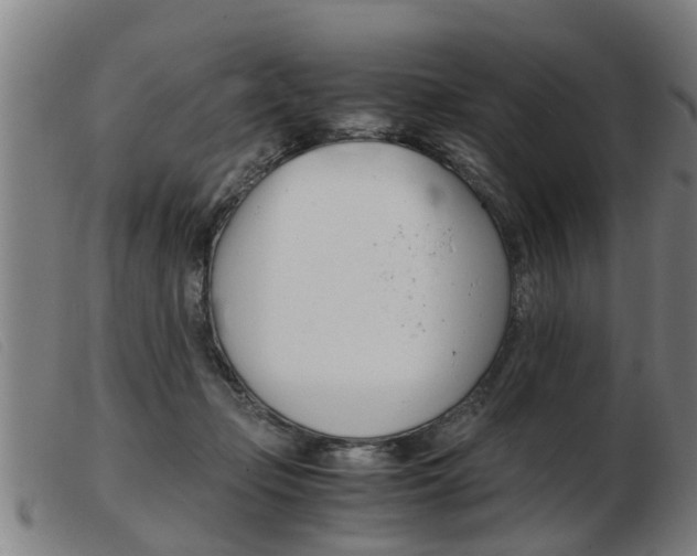 X0000103960365200809191340