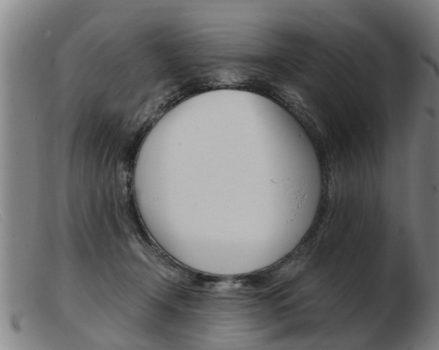 X0000103960366200809191340
