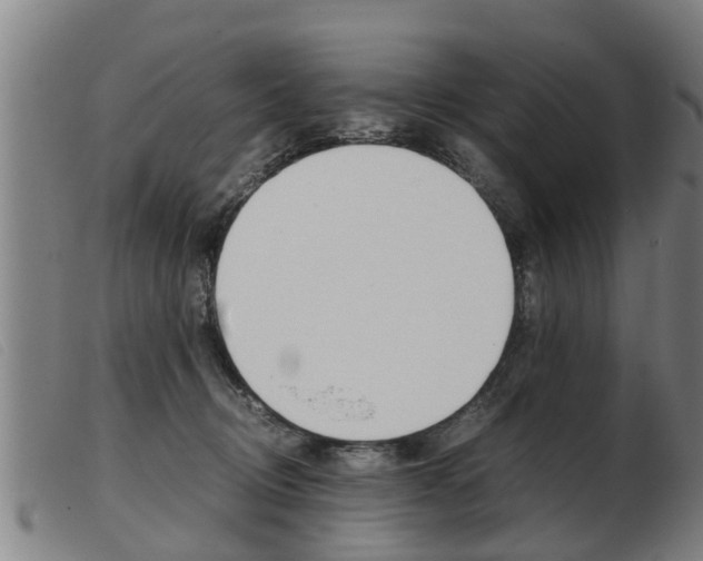 X0000103960370200809191340