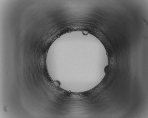 X0000103960372200809191340