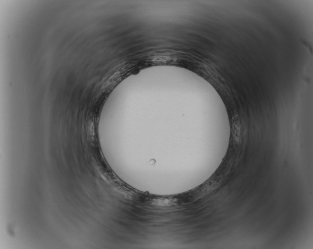 X0000103960375200809191340
