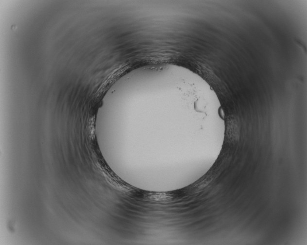 X0000103960383200809191340