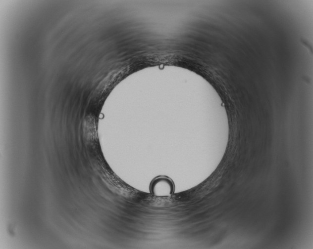 X0000103960384200809191340
