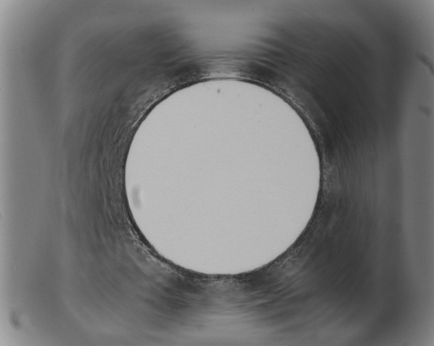 X0000103960385200809191339