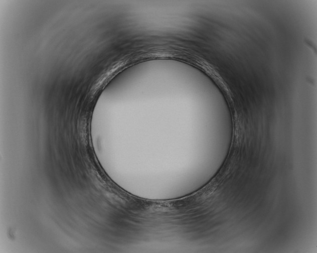X0000103960386200809191339