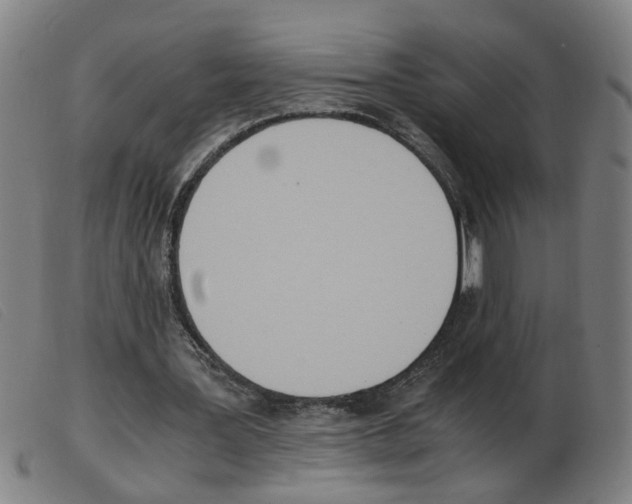 X0000103960387200809191339
