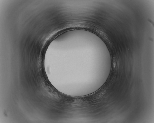 X0000103960388200809191339