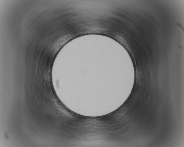 X0000103960389200809191339