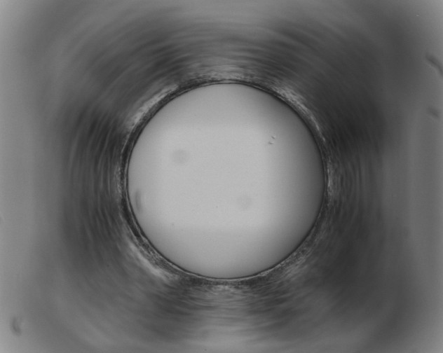 X0000103960390200809191339