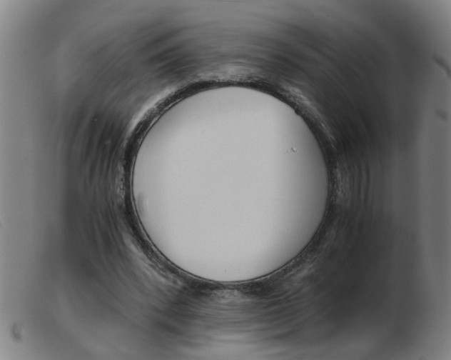 X0000103960392200809191339