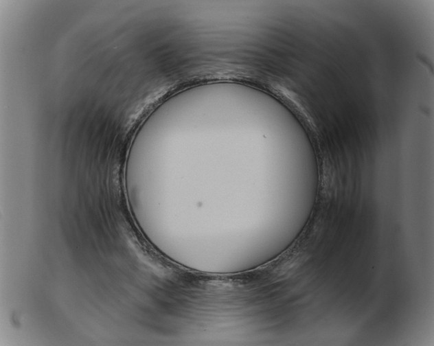 X0000103960394200809191339