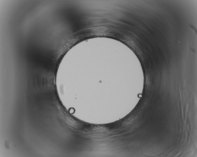 X0000103960397200809191339