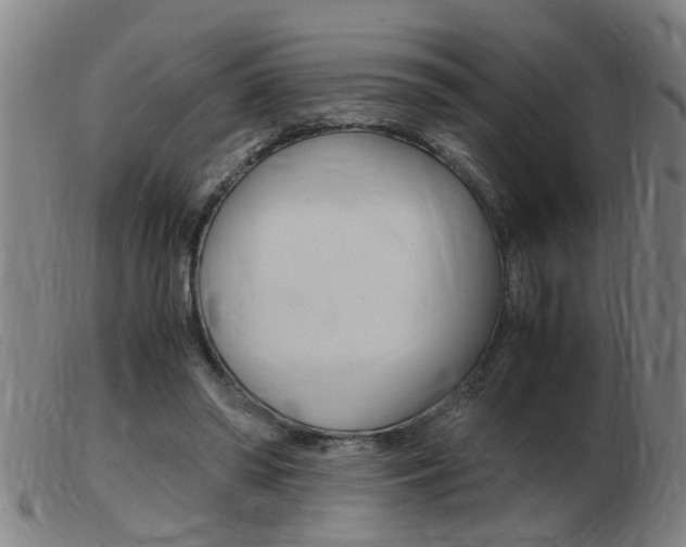 X0000103960398200809191339