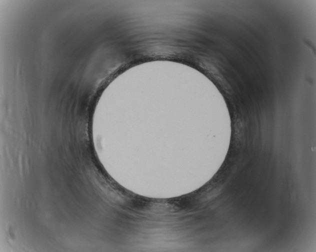 X0000103960399200809191339