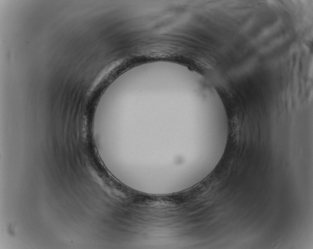 X0000103960400200809191339