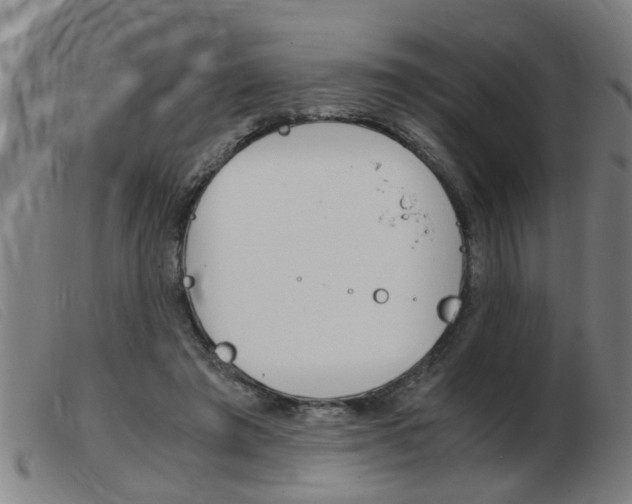 X0000103960401200809191339