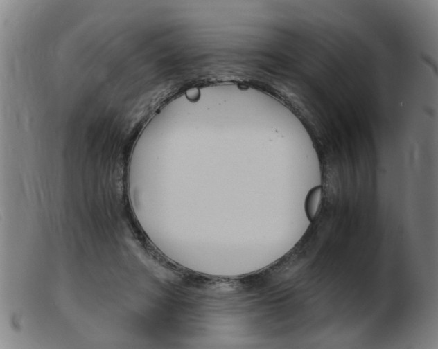 X0000103960402200809191339
