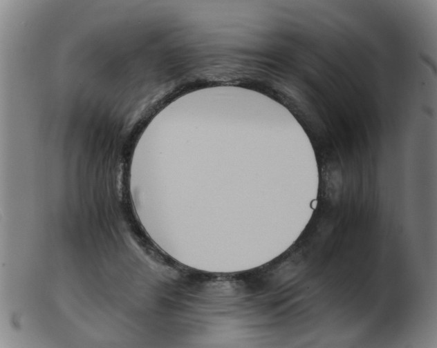 X0000103960404200809191339