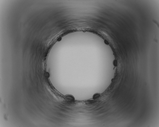 X0000103960405200809191339